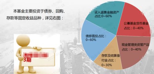 现金管理的明珠 私募现金管理产品 基金投资入门第⑧课